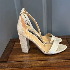 Sam Edelman Ankle Strap Elegant Silver Block Heel Sandals